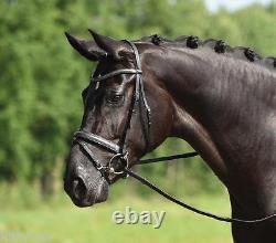 Gorgeous Latest Model Busse Bridle Silverstone Brand New Full
