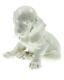 Porcelain Sitting Young Dachshund (Allach Model No 2) by T. Kärner, Dachs, Dog